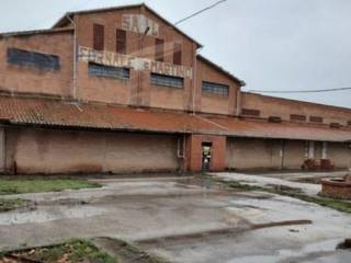 Zona
