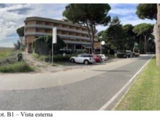 Zona
