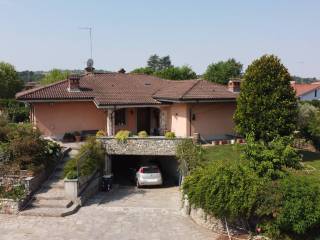 Vista
