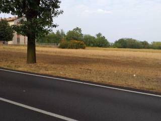 Zona
