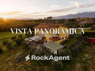 Vista