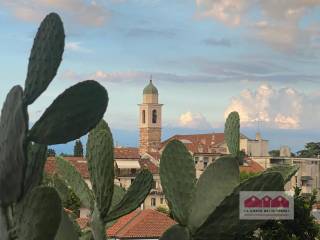 Vista