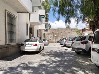 Zona