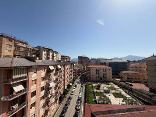 Vista