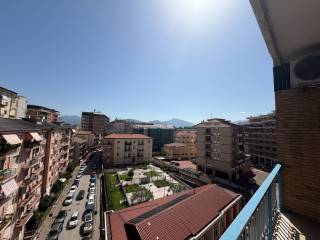 Vista