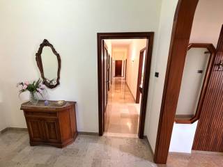 Ingresso