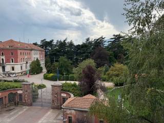 Vista