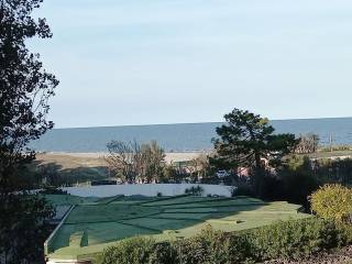 Vista