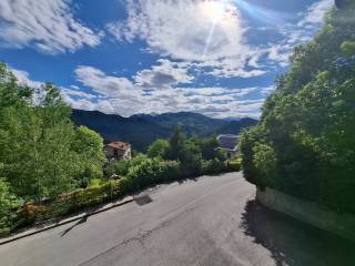 Vista
