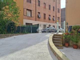 Zona