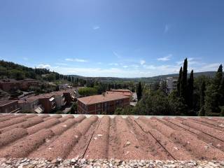 Vista