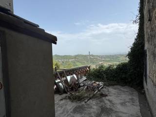 Vista
