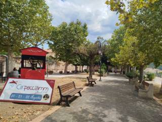 Zona