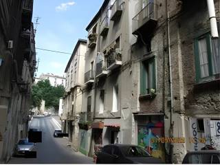 Zona