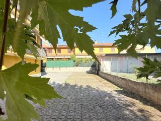 Ingresso