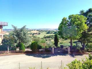 Vista