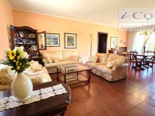 Salone