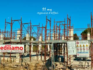 Zona