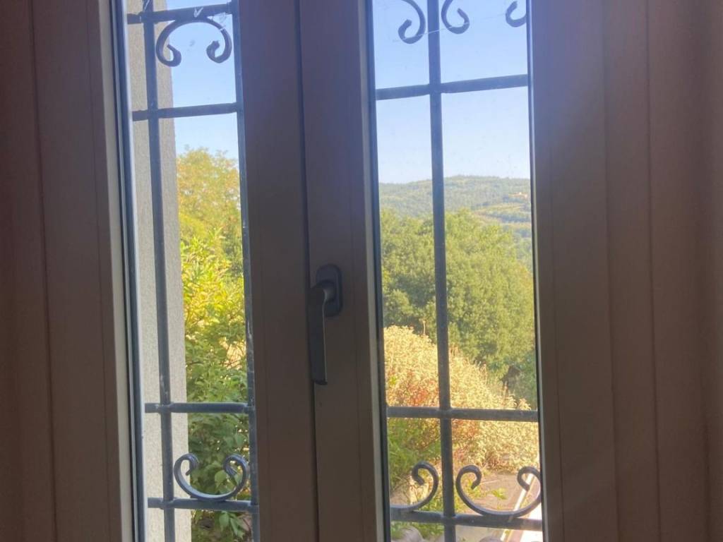 Vista