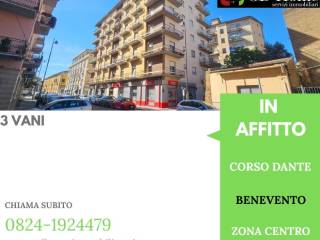 Zona