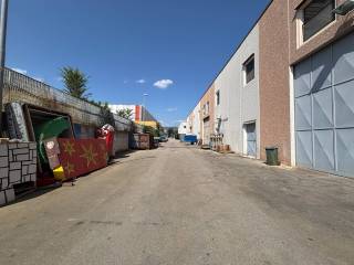 Zona