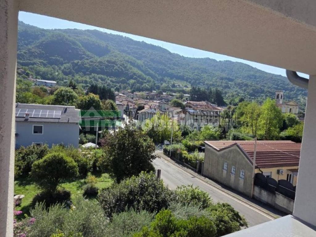 Vista