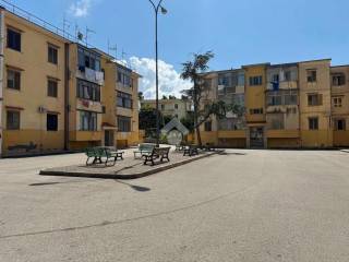 Zona