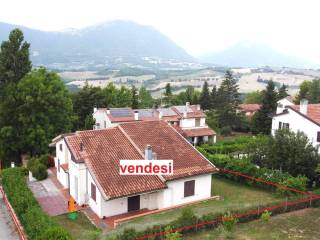 Vista