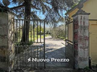 Ingresso