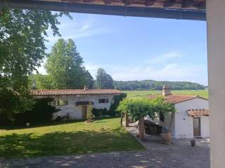 Vista