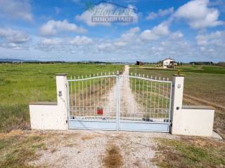 Ingresso