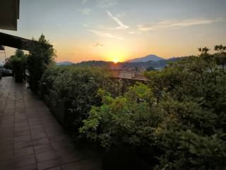 Vista