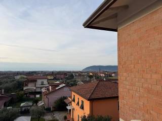 Vista