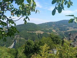 Vista