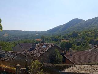 Zona