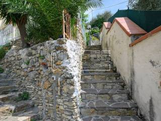 Ingresso