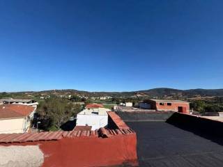 Vista