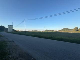 Zona