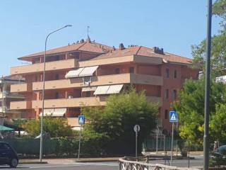 Zona