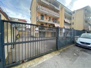 Zona