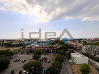Vista