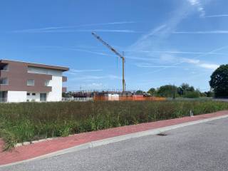 Zona