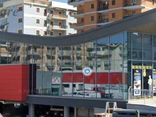 Zona