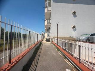Zona