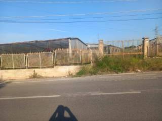 Zona