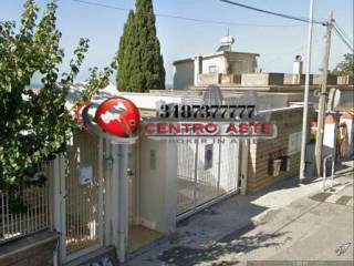 Zona