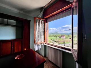 Vista