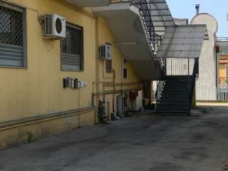 Zona