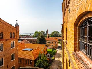 Vista