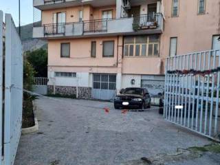 Zona